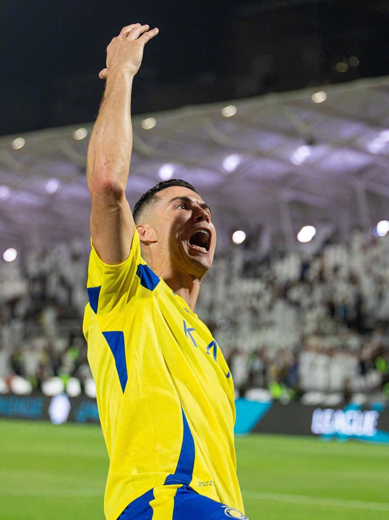 从商业行为 从商业行为