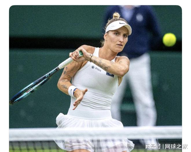 他个人职业 他个人职业