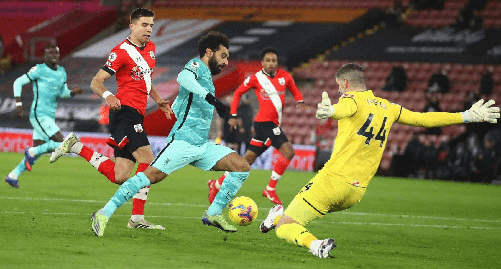 标准化依据 标准化依据