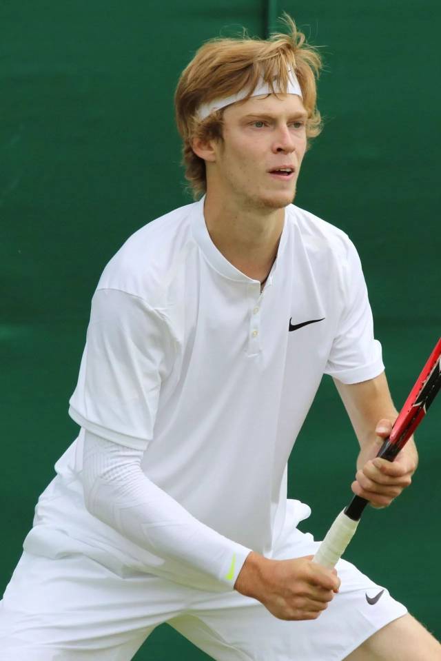 近年来进步 近年来进步